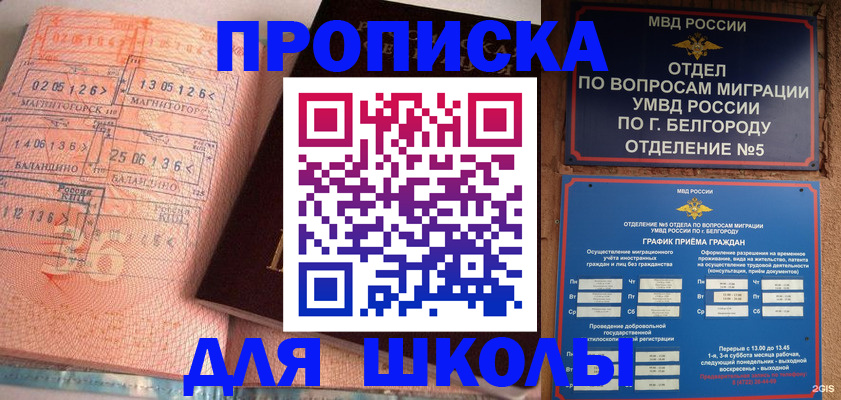 прописка гарантия в Лангепасе
